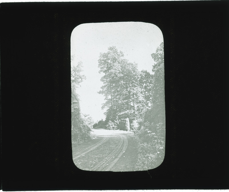 Dolobran road after treatment, Haverford, Pennsylvania.