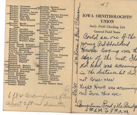 Daily field checking list of birds observed in Boone County by Walter Rosene and Paul Clausen, May 3, 1941. Also notes he could see one of the young Red-shouldered Hawks looking over the edge of the nest.